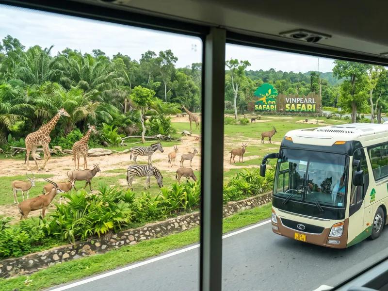 Tour Image